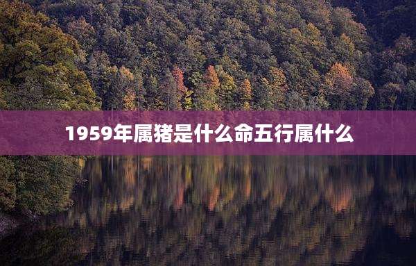 1959年属猪是什么命五行属什么