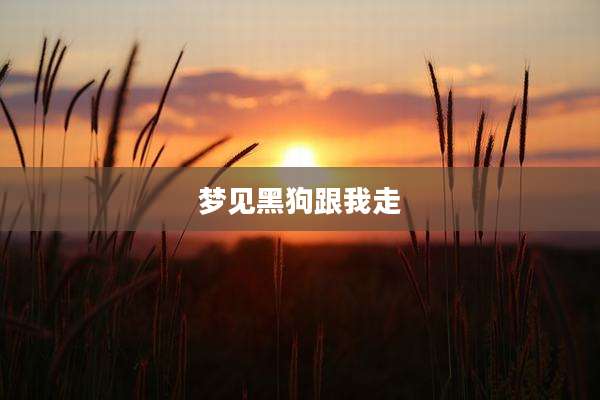 梦见黑狗跟我走