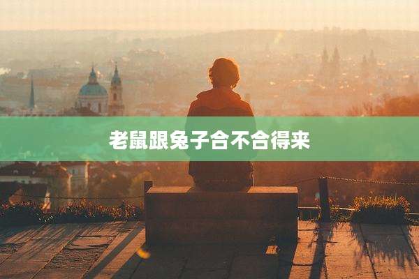 老鼠跟兔子合不合得来