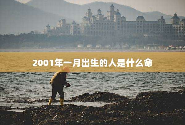 2001年一月出生的人是什么命