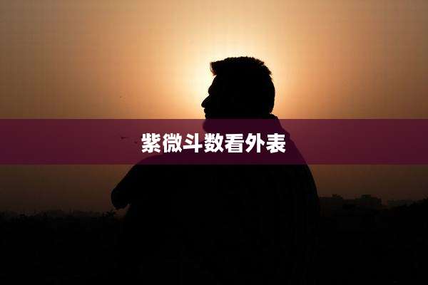 紫微斗数看外表