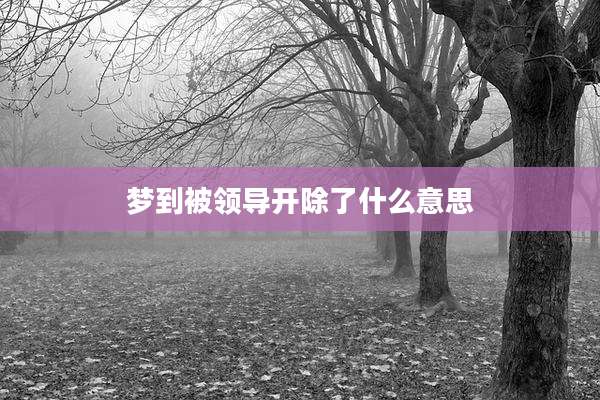 梦到被领导开除了什么意思