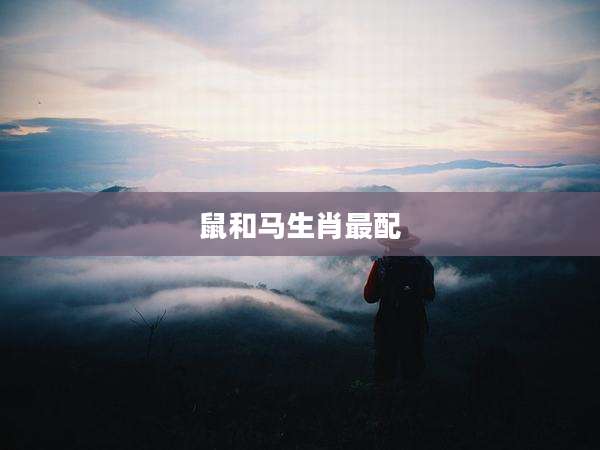 鼠和马生肖最配