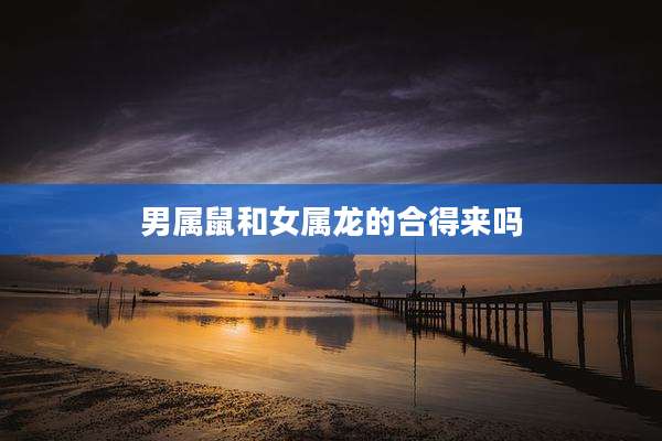 男属鼠和女属龙的合得来吗