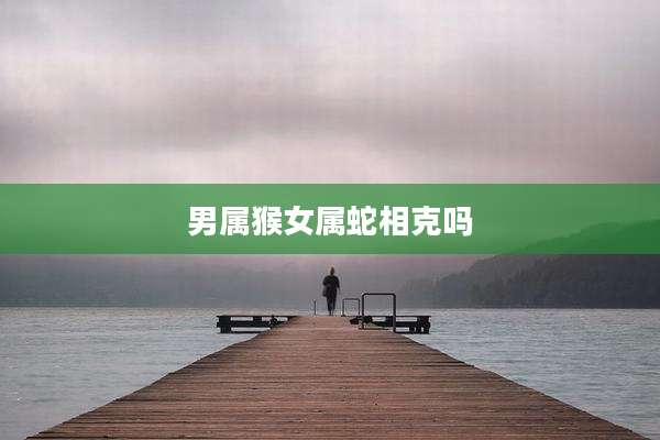 男属猴女属蛇相克吗
