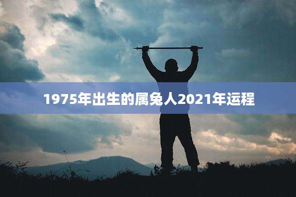 1975年出生的属兔人2021年运程