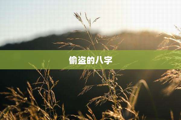 偷盗的八字