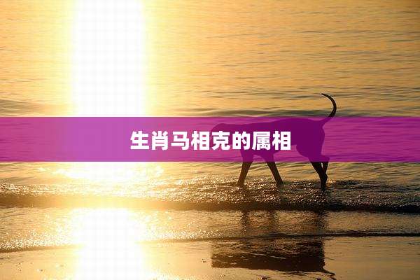生肖马相克的属相