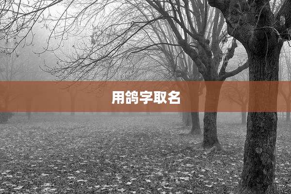 用鸽字取名