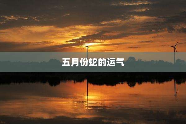 五月份蛇的运气
