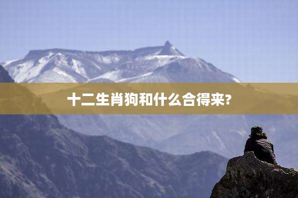 十二生肖狗和什么合得来?