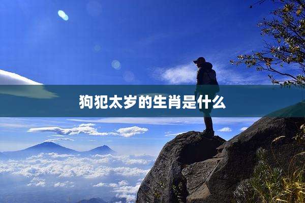 狗犯太岁的生肖是什么