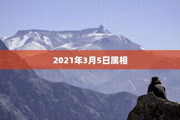 2021年3月5日属相