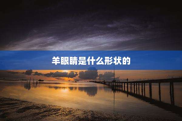 羊眼睛是什么形状的