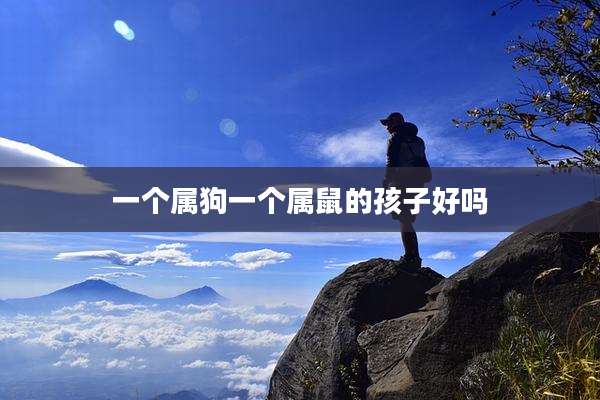 一个属狗一个属鼠的孩子好吗