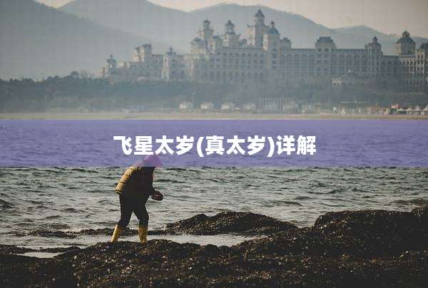 飞星太岁(真太岁)详解
