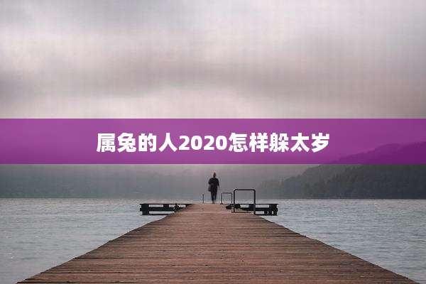 属兔的人2020怎样躲太岁