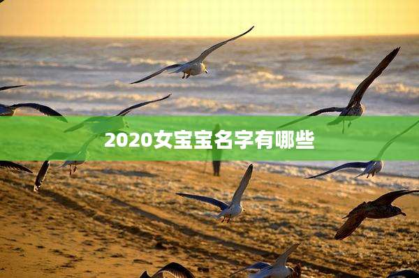 2020女宝宝名字有哪些