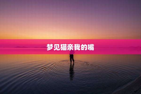 梦见猫亲我的嘴