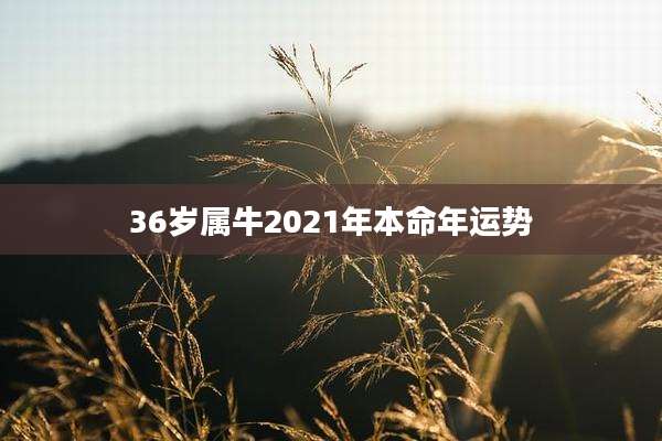 36岁属牛2021年本命年运势