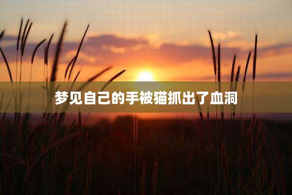 梦见自己的手被猫抓出了血洞