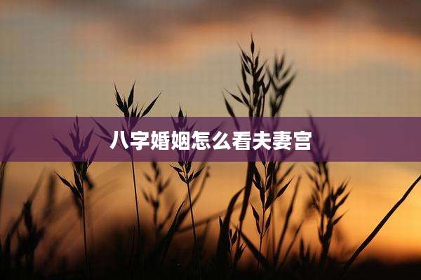 八字婚姻怎么看夫妻宫