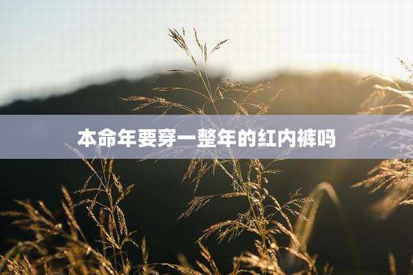 本命年要穿一整年的红内裤吗