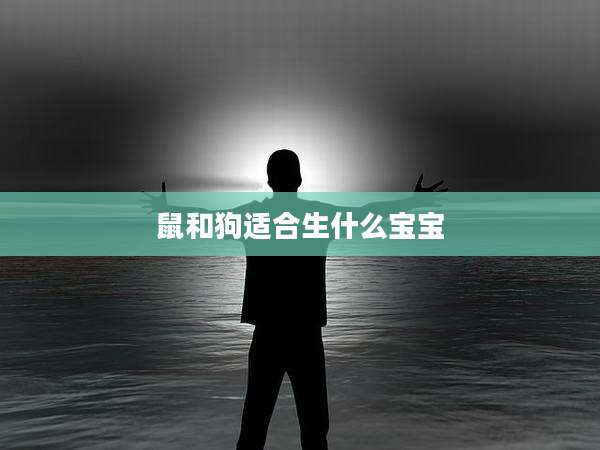 鼠和狗适合生什么宝宝