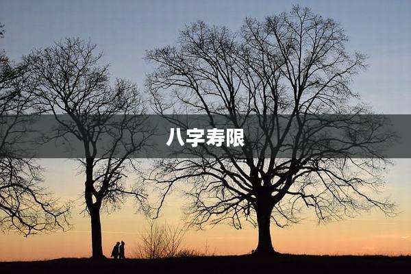 八字寿限
