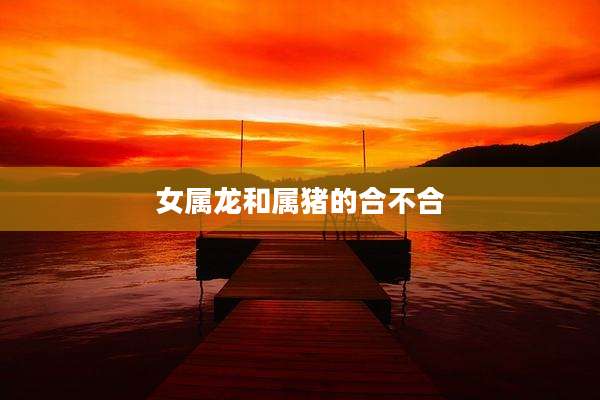 女属龙和属猪的合不合