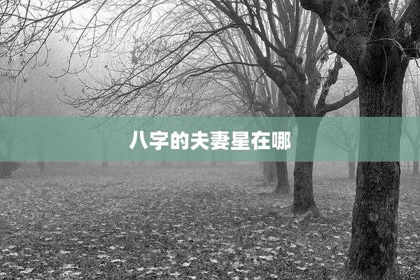 八字的夫妻星在哪