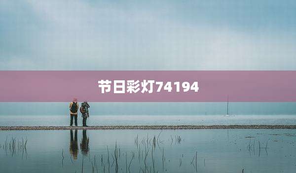 节日彩灯74194