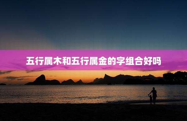 五行属木和五行属金的字组合好吗