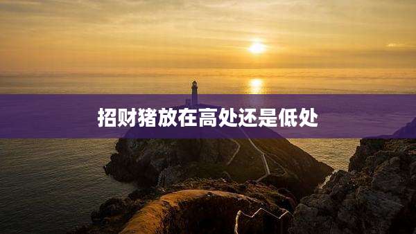 招财猪放在高处还是低处