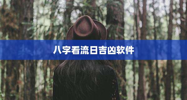 八字看流日吉凶软件