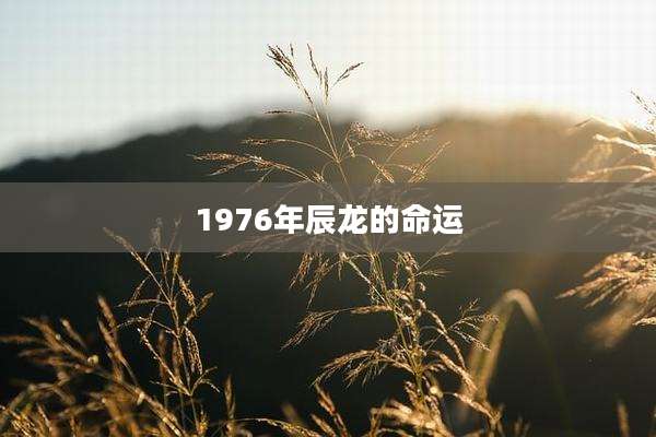 1976年辰龙的命运