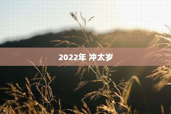 2022年 冲太岁