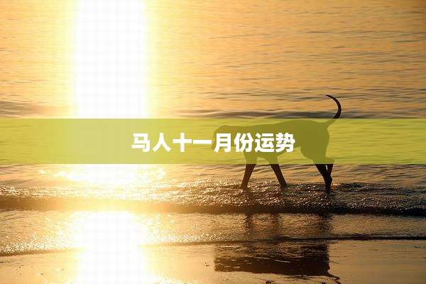 马人十一月份运势