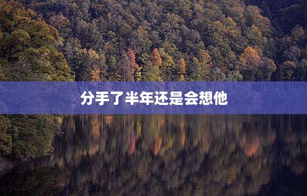 分手了半年还是会想他