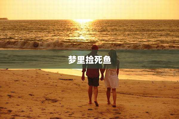 梦里捡死鱼