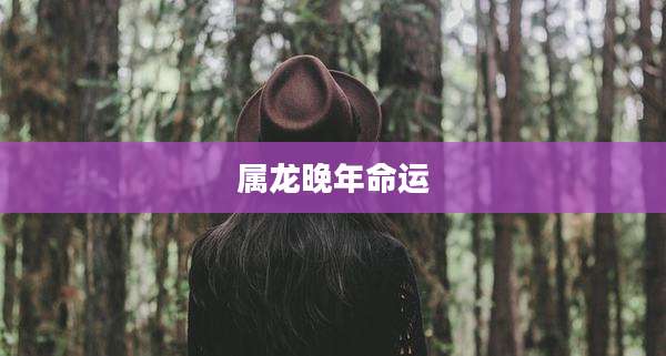 属龙晚年命运