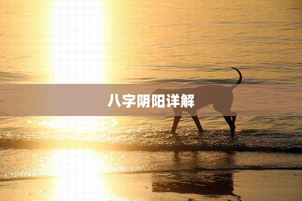 八字阴阳详解