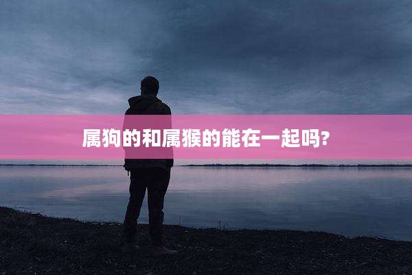 属狗的和属猴的能在一起吗?