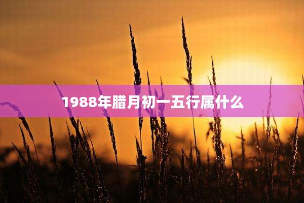 1988年腊月初一五行属什么