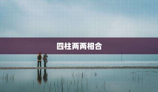 四柱两两相合