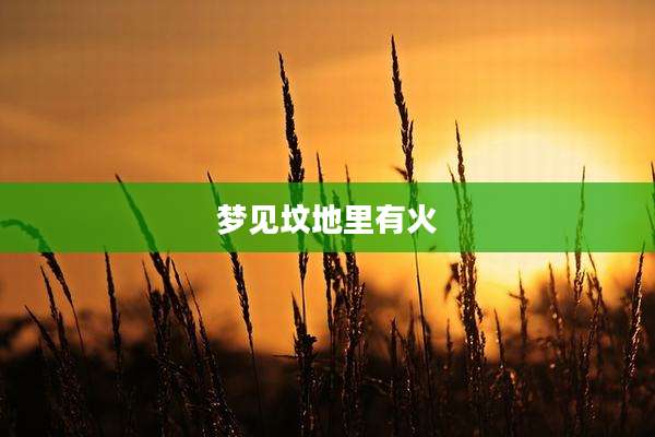 梦见坟地里有火