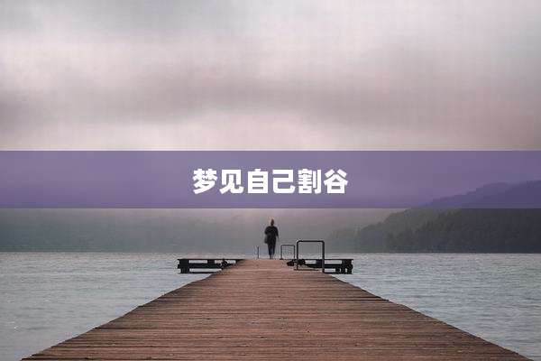 梦见自己割谷