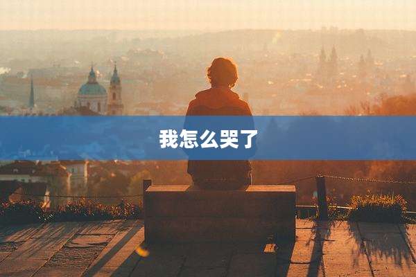 我怎么哭了
