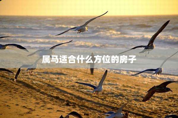 属马适合什么方位的房子