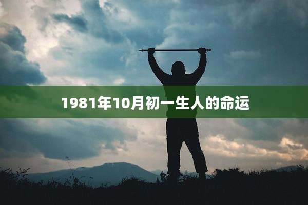1981年10月初一生人的命运